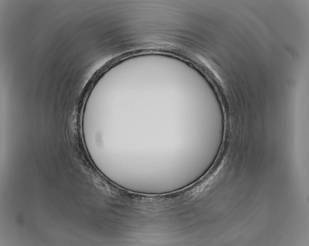X0000110970875200906191109