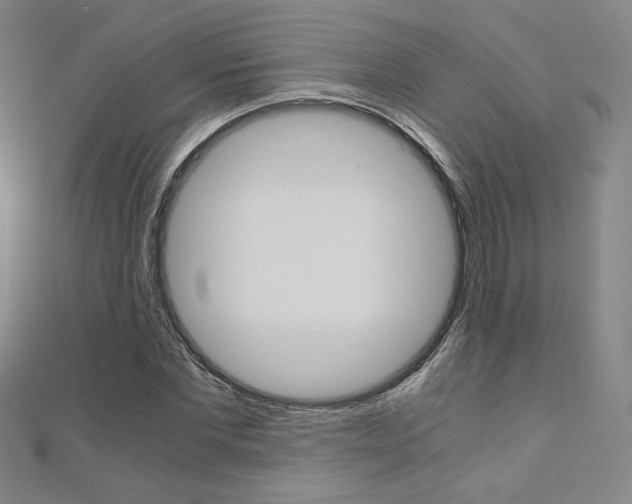 X0000110970877200906191109