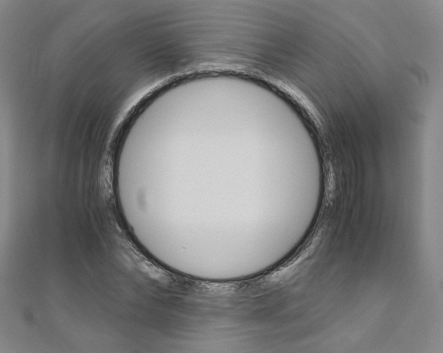 X0000110970878200906191108