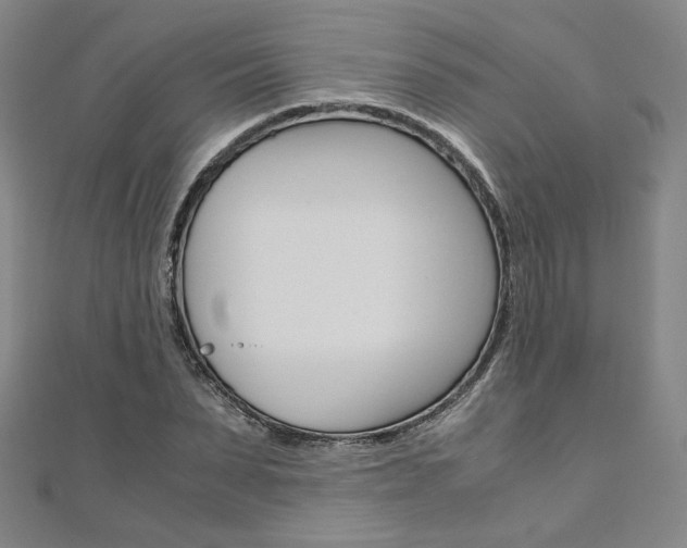 X0000110970879200906191108