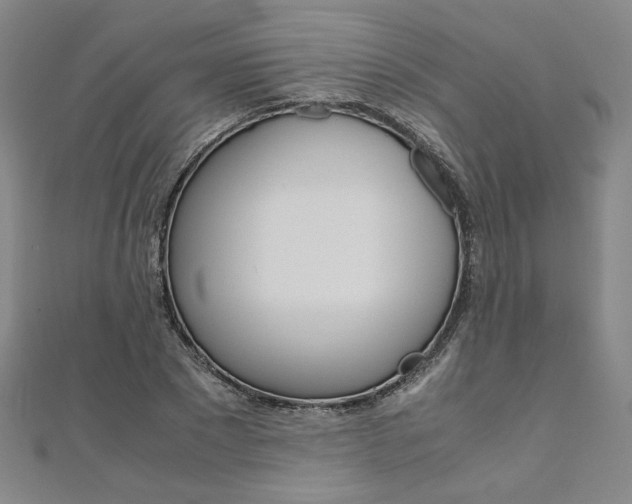 X0000110970881200906191108