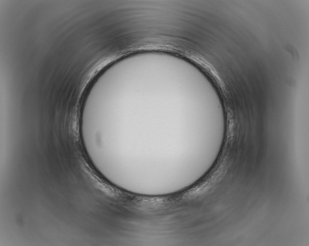 X0000110970882200906191108