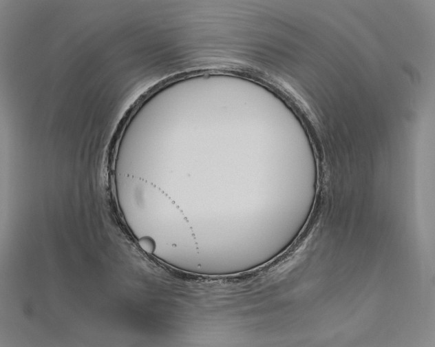 X0000110970883200906191108