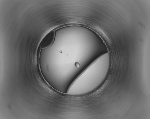 X0000110970884200906191108