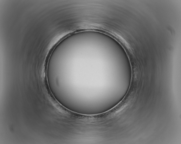 X0000110970885200906191108