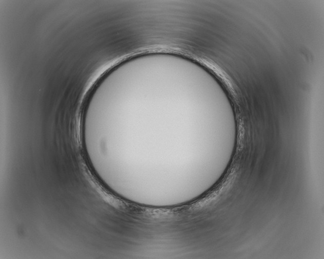 X0000110970886200906191108