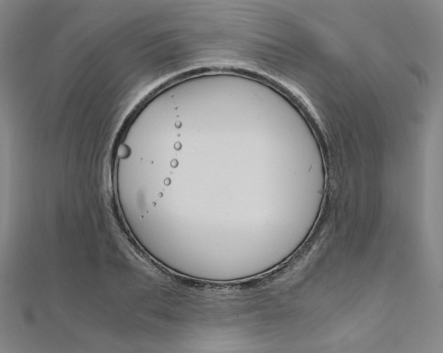 X0000110970887200906191108