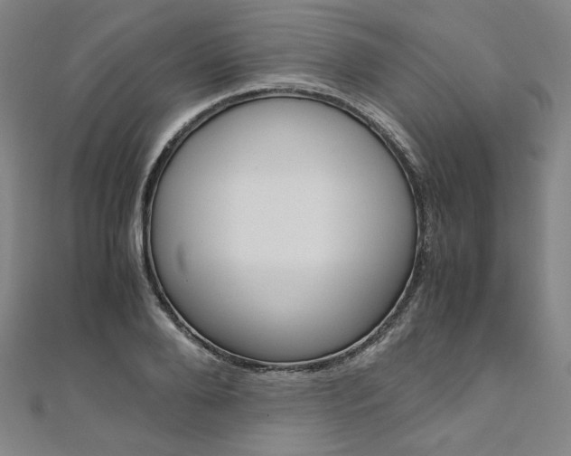 X0000110970888200906191108