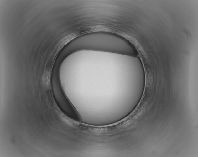 X0000110970889200906191108