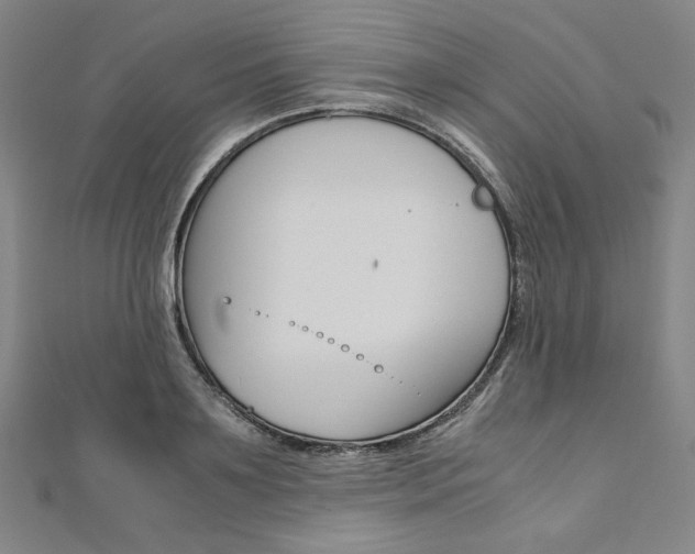 X0000110970891200906191108