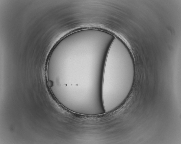 X0000110970895200906191108