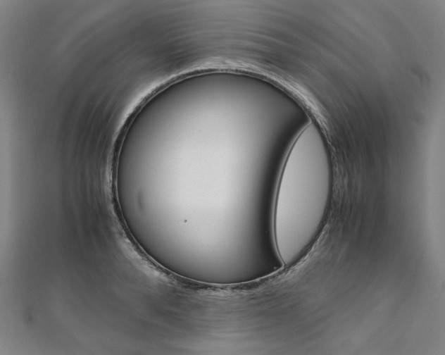 X0000110970896200906191108