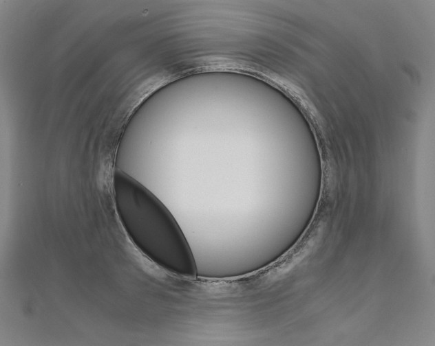 X0000110970897200906191108
