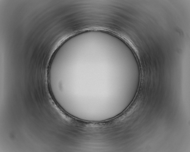 X0000110970898200906191108