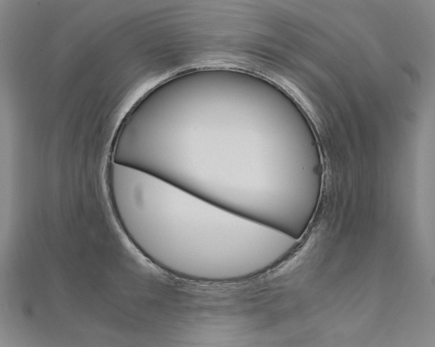 X0000110970901200906191108