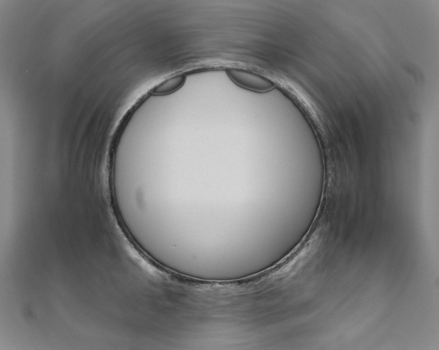 X0000110970902200906191108