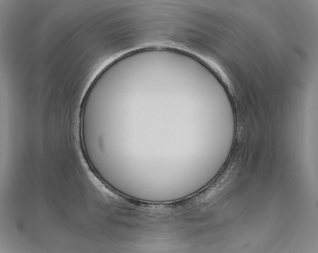 X0000110970903200906191108
