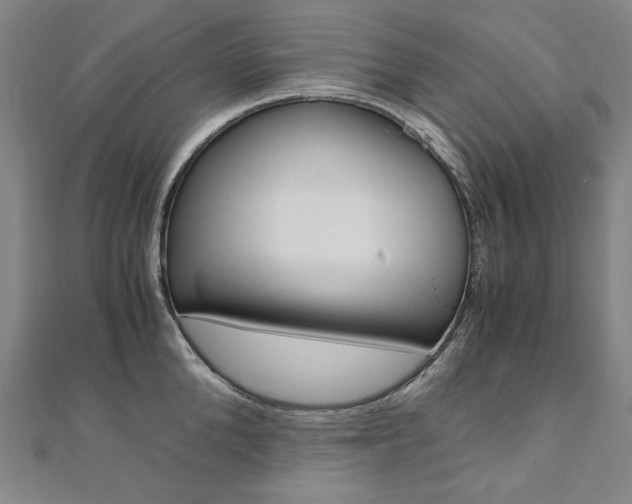 X0000110970904200906191108