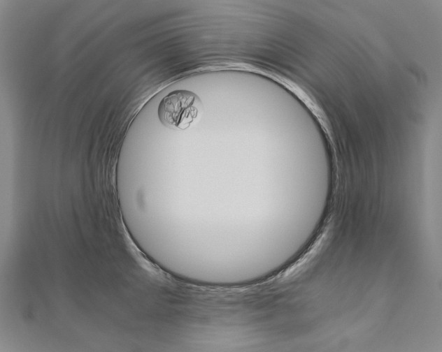 X0000110970905200906191108