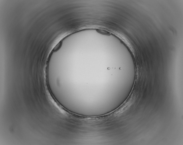 X0000110970906200906191108