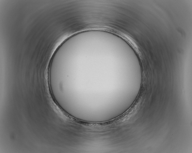 X0000110970907200906191108