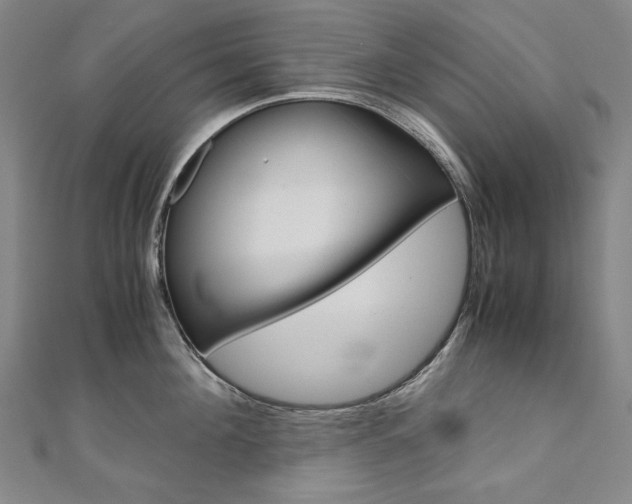 X0000110970908200906191108