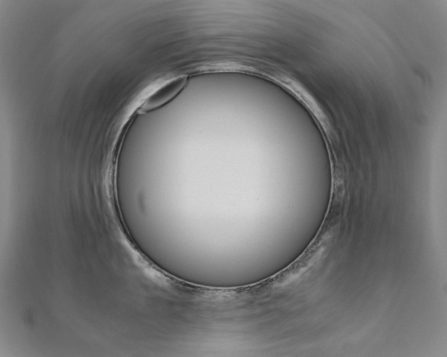 X0000110970909200906191108