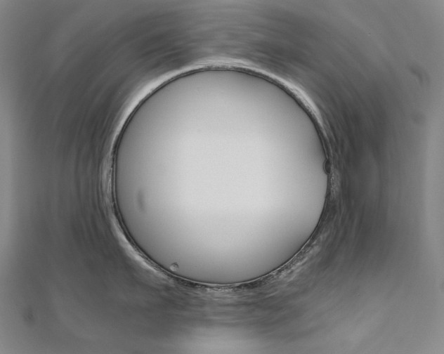 X0000110970911200906191108