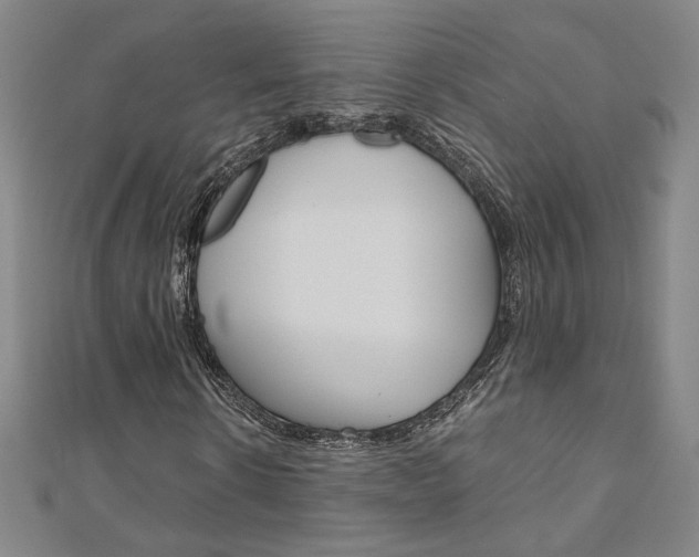 X0000110970914200906191107