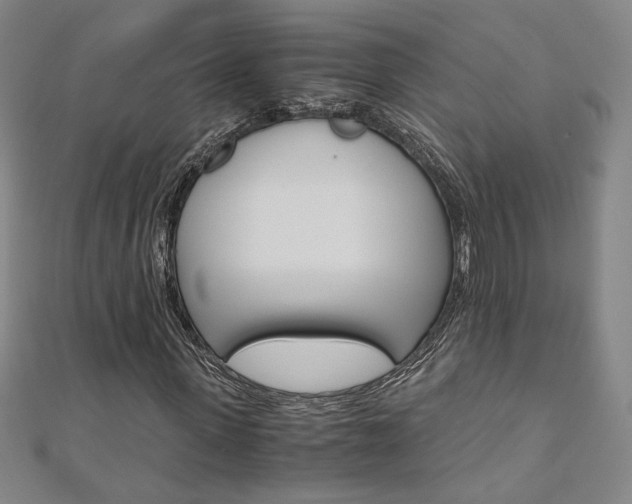 X0000110970915200906191107