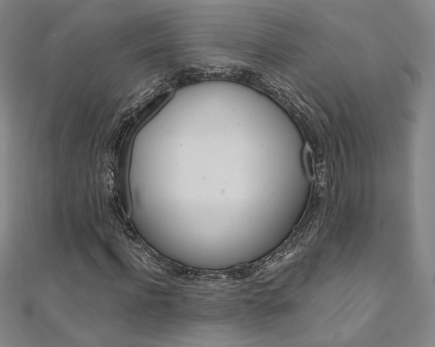 X0000110970916200906191107