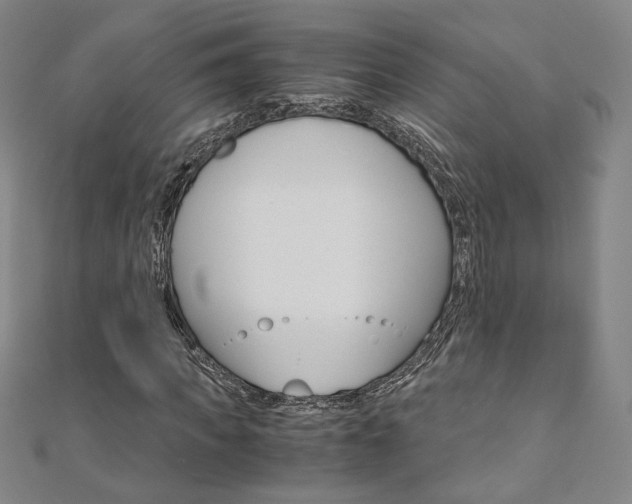 X0000110970917200906191107
