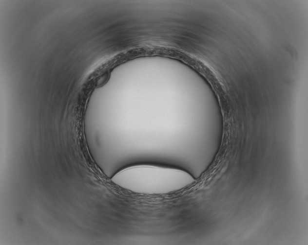 X0000110970919200906191107