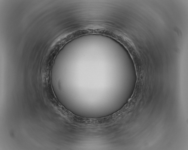 X0000110970920200906191107