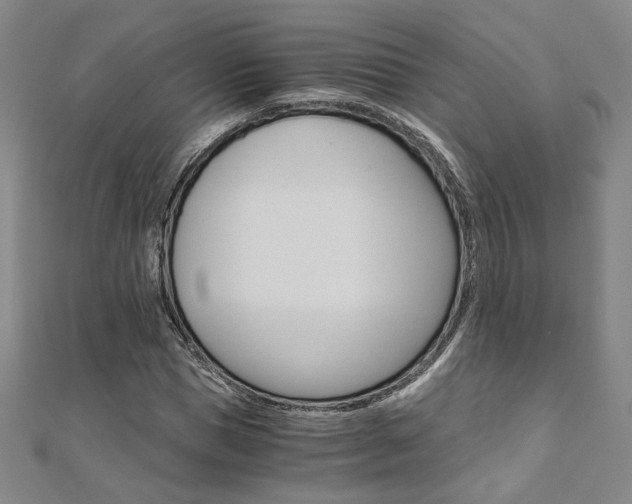 X0000110970921200906191107