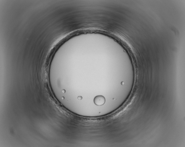 X0000110970925200906191107