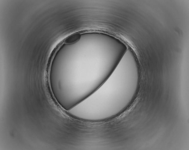 X0000110970928200906191107