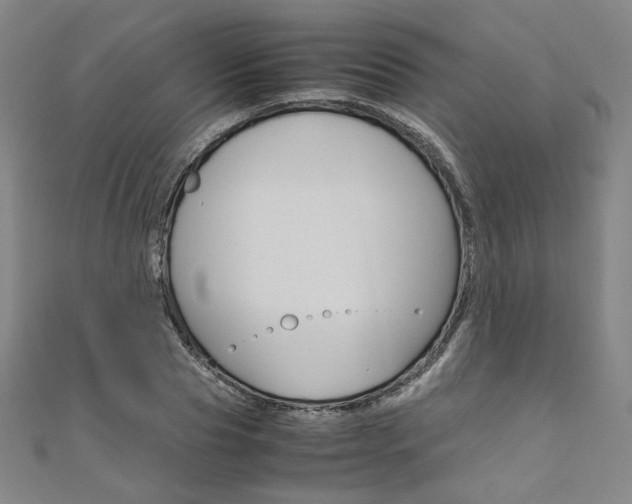X0000110970929200906191107