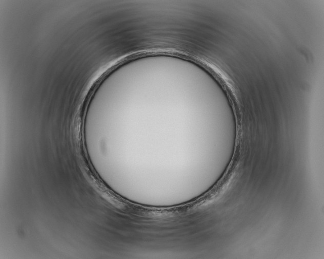 X0000110970933200906191107