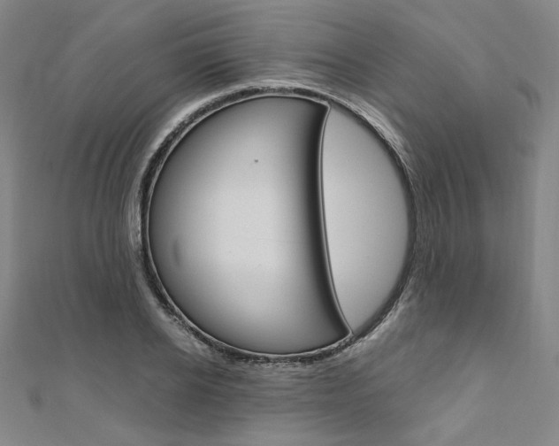 X0000110970934200906191107