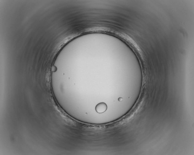 X0000110970937200906191108