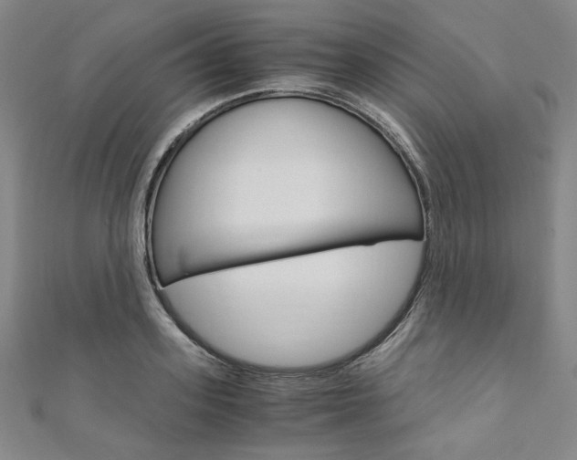 X0000110970939200906191108