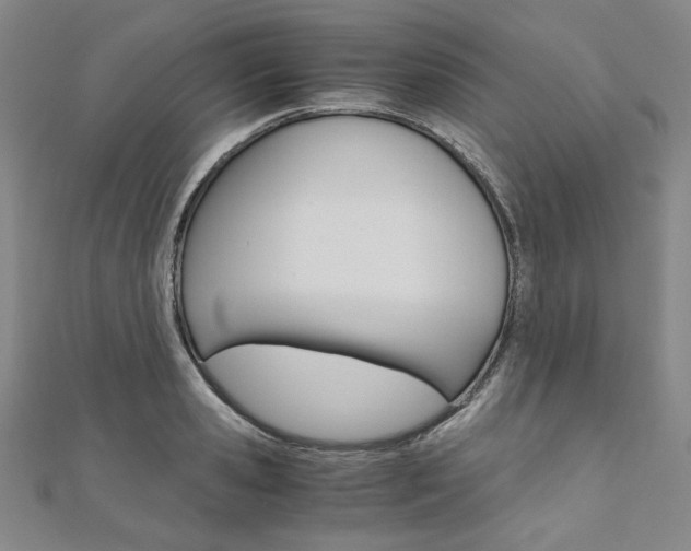 X0000110970941200906191108