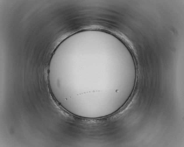 X0000110970945200906191108
