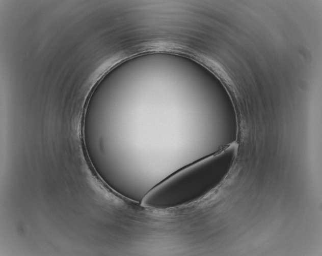 X0000110970946200906191108