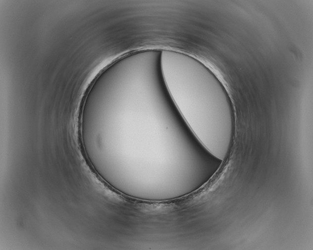 X0000110970949200906191108