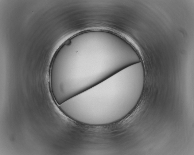 X0000110970951200906191108