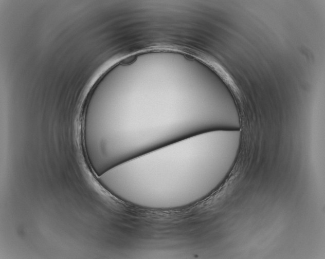 X0000110970955200906191108