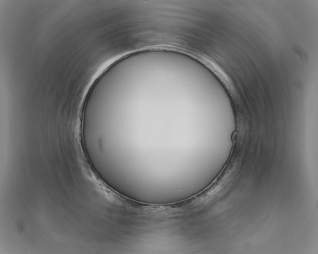 X0000110970956200906191108