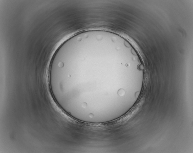 X0000110970957200906191108